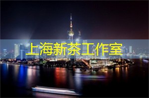 爱上海：尊贵奢华的句子