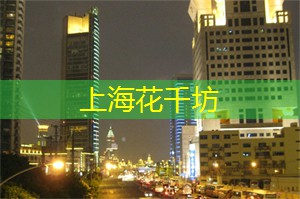 惊艳上海夜市：独家推荐的美食和迷人景色