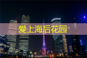 爱上海：上海天地世界音乐节