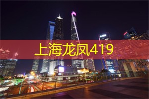 从环境保护到文化艺术
