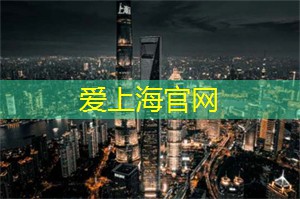 爱上海：2013暑期社会实践报告