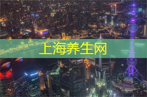 全方位体验上海夜游神器