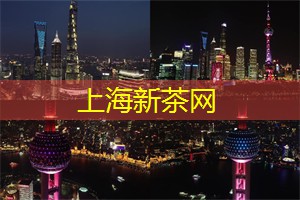 上海品茶网：享受完美的夜景跨年活动